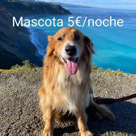 El Desvan Del Chisco